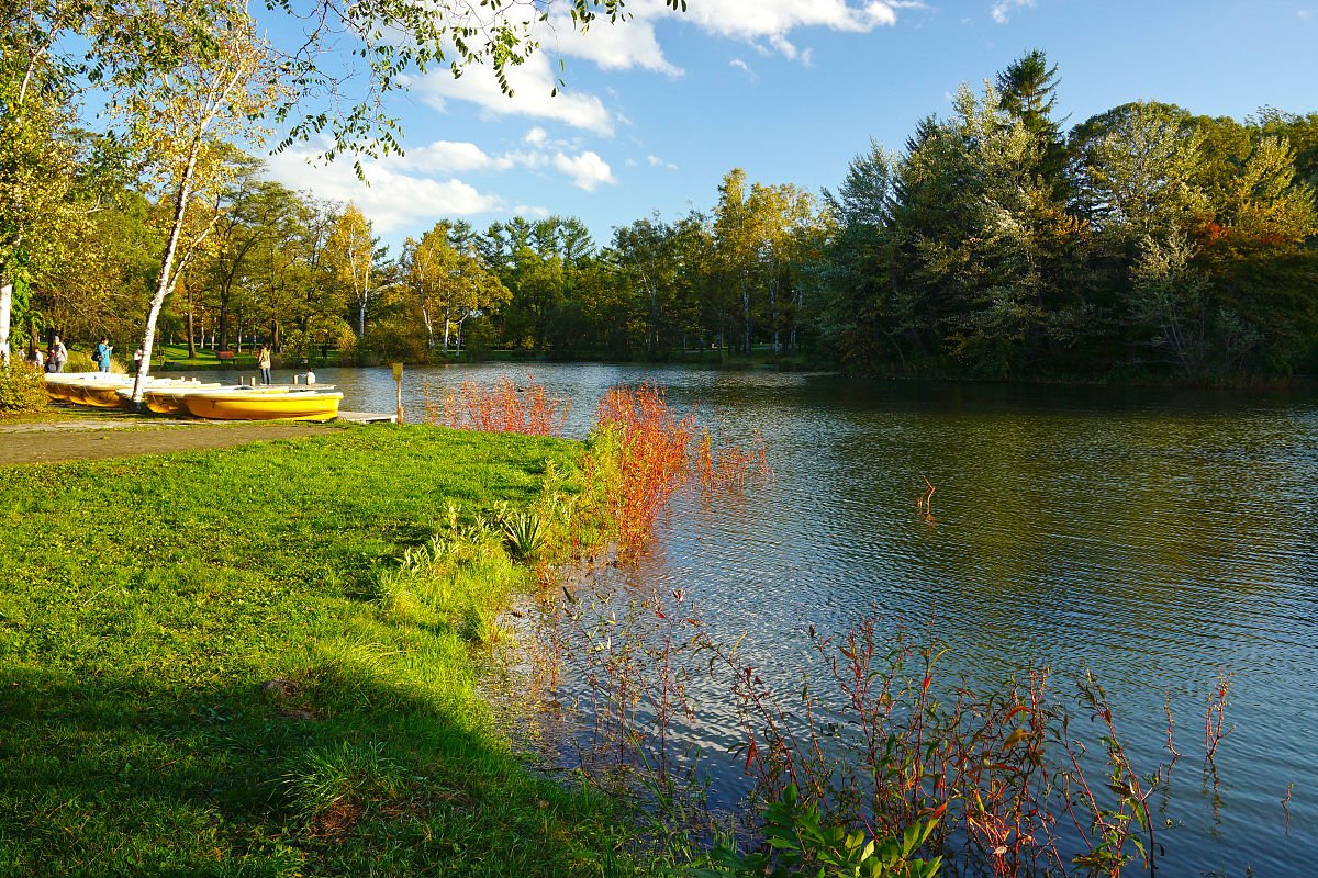 🖼️ 홋카이도립 오비히로 미술관 이미지 5